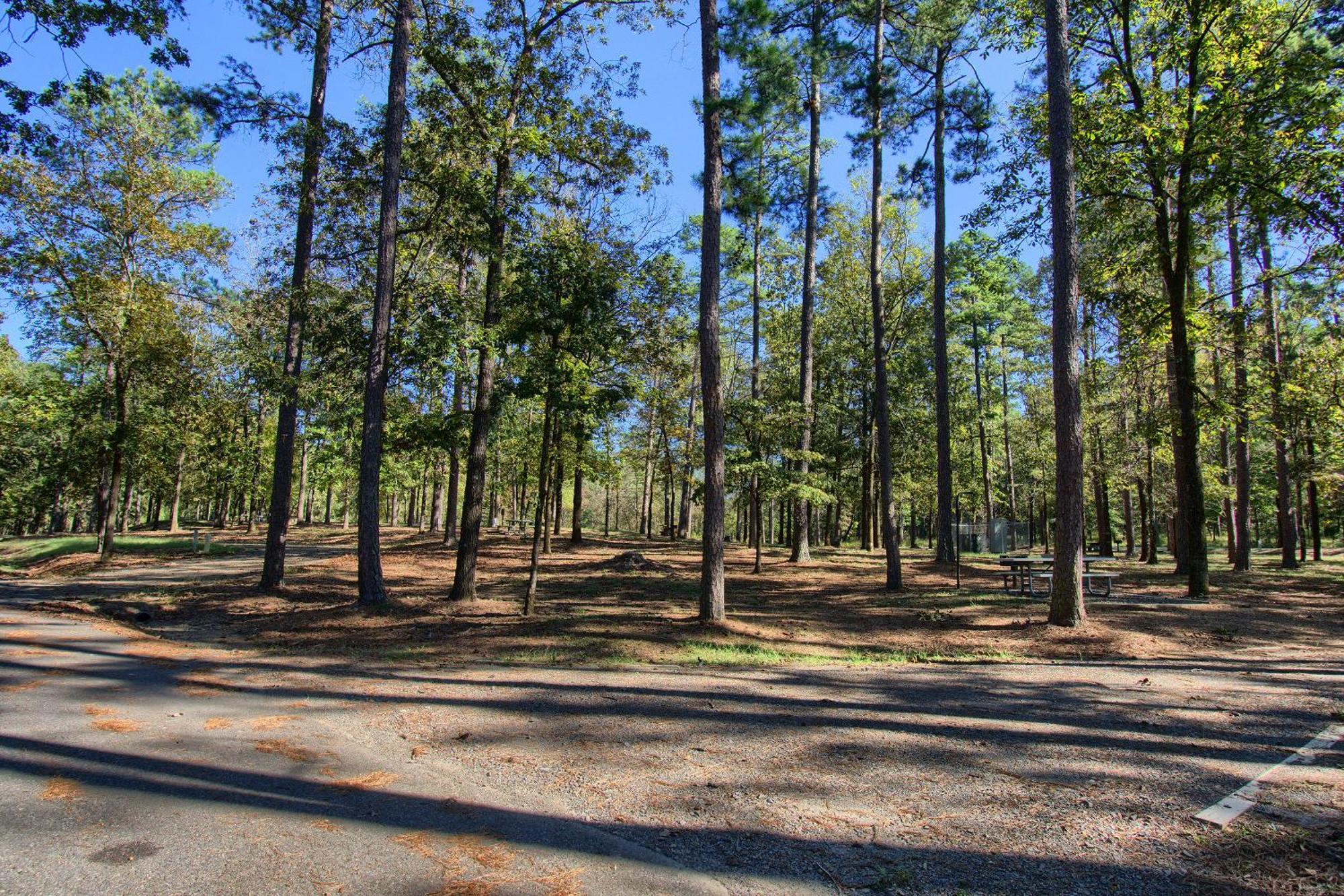 The Americana - Parker Creek Bend
