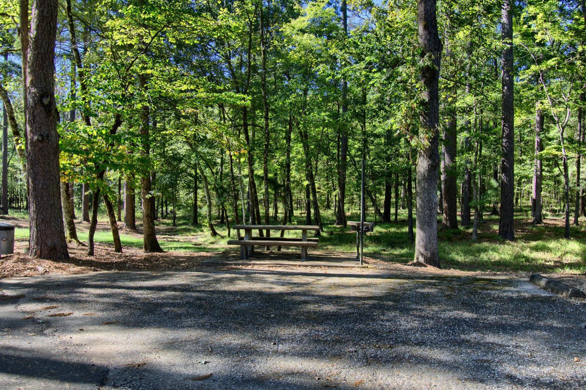 The Americana - Parker Creek Bend Murfreesboro
